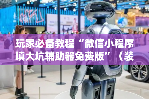 玩家必备教程“微信小程序填大坑辅助器免费版”（装挂怎么安装)