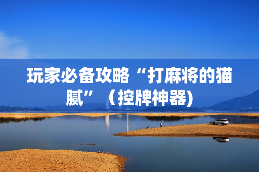 玩家必备攻略“打麻将的猫腻”（控牌神器)
