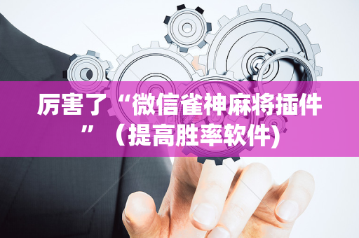 厉害了“微信雀神麻将插件”（提高胜率软件)