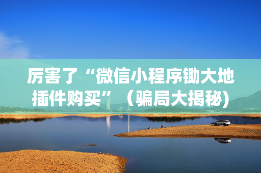 厉害了“微信小程序锄大地插件购买”（骗局大揭秘)