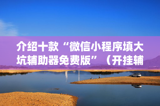 介绍十款“微信小程序填大坑辅助器免费版”（开挂辅助插件)