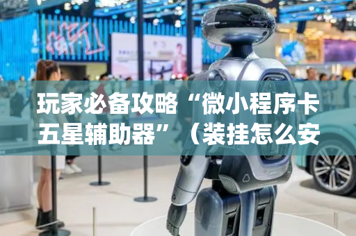 玩家必备攻略“微小程序卡五星辅助器”（装挂怎么安装)