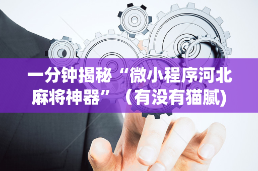 一分钟揭秘“微小程序河北麻将神器”（有没有猫腻)