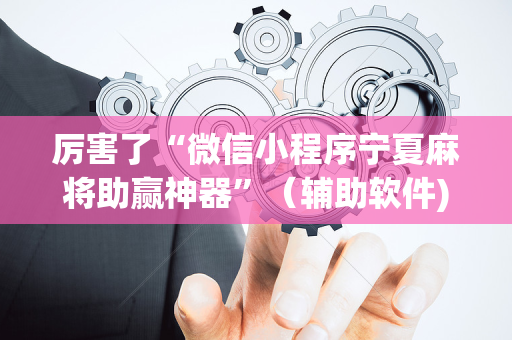厉害了“微信小程序宁夏麻将助赢神器”（辅助软件)