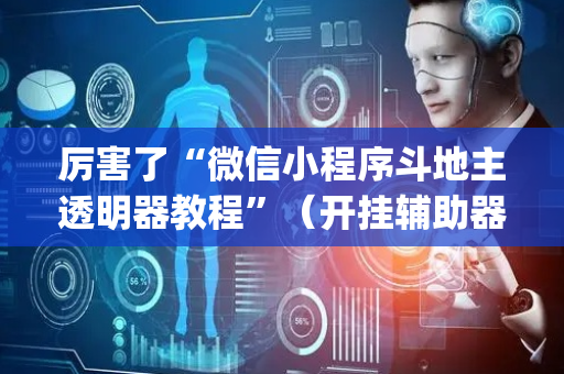 厉害了“微信小程序斗地主透明器教程”（开挂辅助器插件)