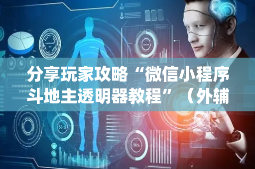 分享玩家攻略“微信小程序斗地主透明器教程”（外辅工具)
