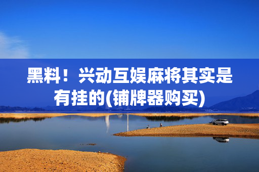 黑料！兴动互娱麻将其实是有挂的(铺牌器购买)