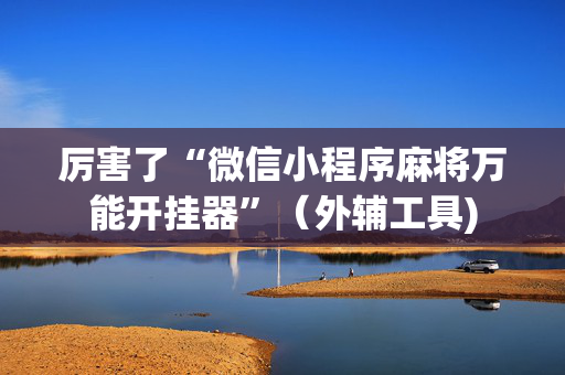 厉害了“微信小程序麻将万能开挂器”（外辅工具)