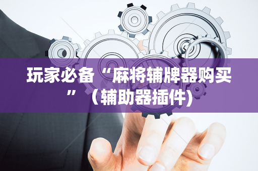玩家必备“麻将辅牌器购买”（辅助器插件)