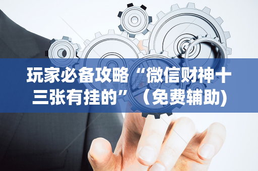 玩家必备攻略“微信财神十三张有挂的”（免费辅助)