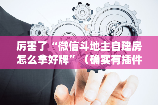 厉害了“微信斗地主自建房怎么拿好牌”（确实有插件吗)