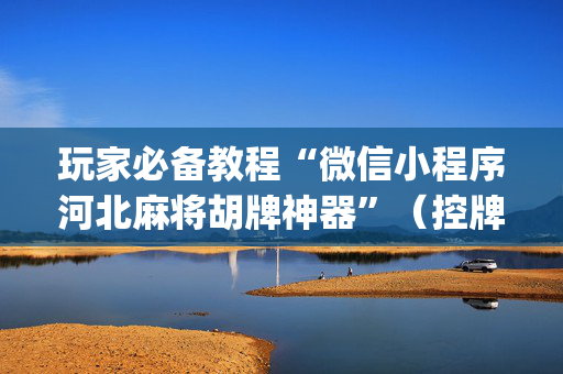 玩家必备教程“微信小程序河北麻将胡牌神器”（控牌器)