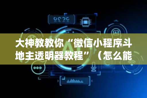 大神教教你“微信小程序斗地主透明器教程”（怎么能让牌好一点)