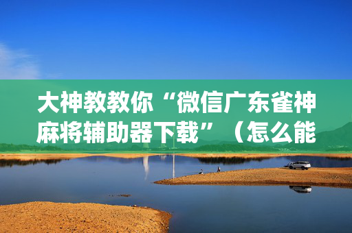 大神教教你“微信广东雀神麻将辅助器下载”（怎么能得到好牌)