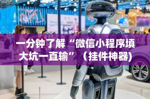 一分钟了解“微信小程序填大坑一直输”（挂件神器)