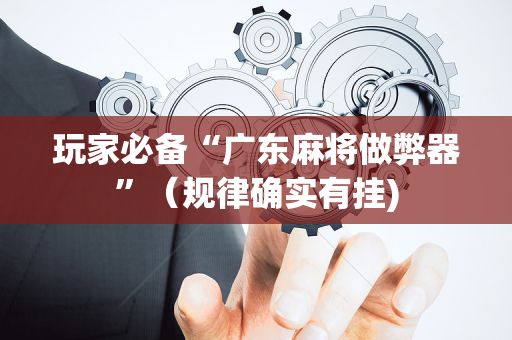 玩家必备“广东麻将做弊器”（规律确实有挂)