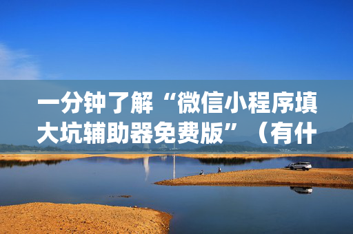 一分钟了解“微信小程序填大坑辅助器免费版”（有什么诀窍)
