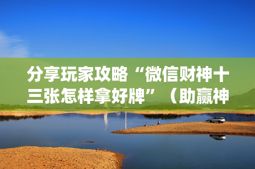 分享玩家攻略“微信财神十三张怎样拿好牌”（助赢神器购买)