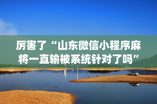 厉害了“山东微信小程序麻将一直输被系统针对了吗”（辅助器插件)