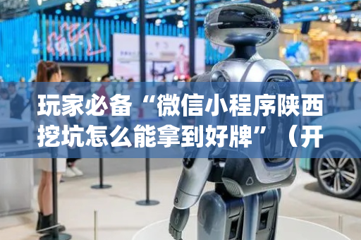 玩家必备“微信小程序陕西挖坑怎么能拿到好牌”（开挂辅助插件)
