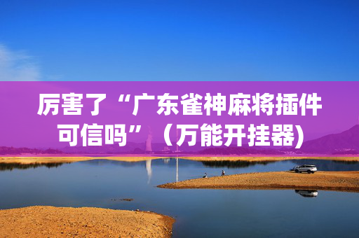 厉害了“广东雀神麻将插件可信吗”（万能开挂器)