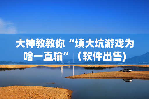 大神教教你“填大坑游戏为啥一直输”（软件出售)