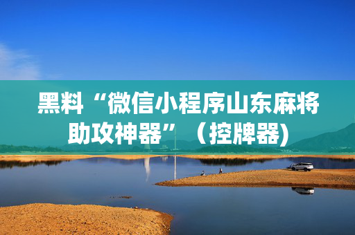 黑料“微信小程序山东麻将助攻神器”（控牌器)