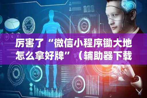 厉害了“微信小程序锄大地怎么拿好牌”（辅助器下载)