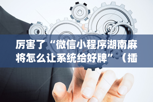 厉害了“微信小程序湖南麻将怎么让系统给好牌”（插件可信吗)