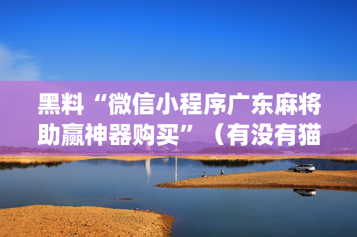 黑料“微信小程序广东麻将助赢神器购买”（有没有猫腻)