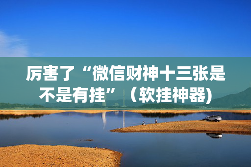 厉害了“微信财神十三张是不是有挂”（软挂神器)