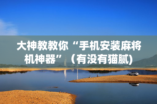 大神教教你“手机安装麻将机神器”（有没有猫腻)