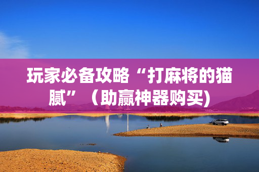 玩家必备攻略“打麻将的猫腻”（助赢神器购买)