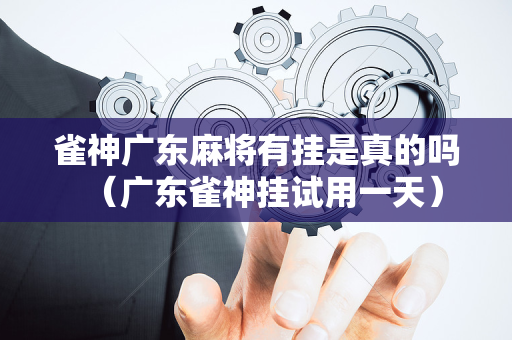 雀神广东麻将有挂是真的吗（广东雀神挂试用一天）