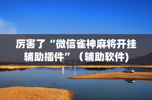 厉害了“微信雀神麻将开挂辅助插件”（辅助软件)