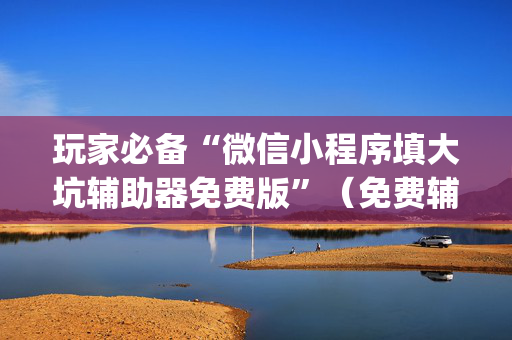 玩家必备“微信小程序填大坑辅助器免费版”（免费辅助)