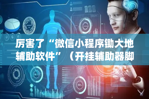 厉害了“微信小程序锄大地辅助软件”（开挂辅助器脚本)