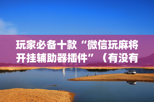 玩家必备十款“微信玩麻将开挂辅助器插件”（有没有猫腻)