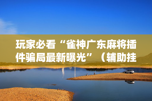 玩家必看“雀神广东麻将插件骗局最新曝光”（辅助挂发牌规律)