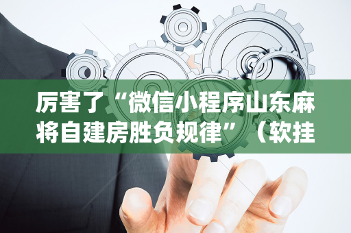 厉害了“微信小程序山东麻将自建房胜负规律”（软挂神器)
