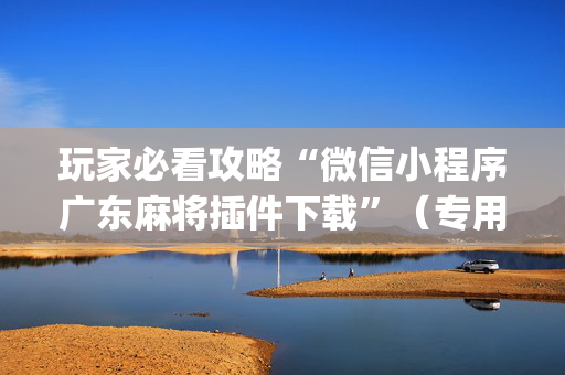 玩家必看攻略“微信小程序广东麻将插件下载”（专用神器下载)