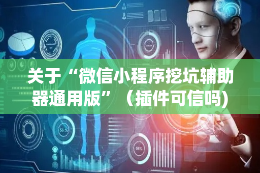 关于“微信小程序挖坑辅助器通用版”（插件可信吗)