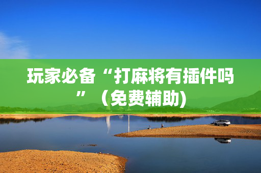 玩家必备“打麻将有插件吗”（免费辅助)