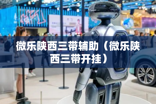 微乐陕西三带辅助（微乐陕西三带开挂）