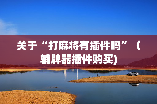 关于“打麻将有插件吗”（辅牌器插件购买)