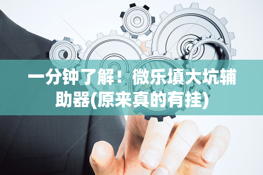 一分钟了解！微乐填大坑辅助器(原来真的有挂)