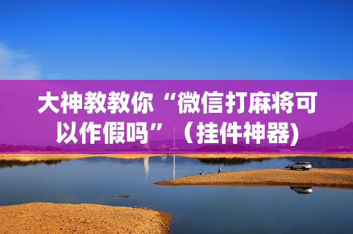 大神教教你“微信打麻将可以作假吗”（挂件神器)