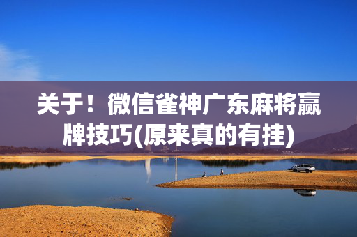 关于！微信雀神广东麻将赢牌技巧(原来真的有挂)