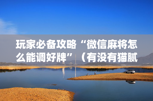 玩家必备攻略“微信麻将怎么能调好牌”（有没有猫腻)