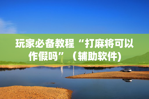 玩家必备教程“打麻将可以作假吗”（辅助软件)